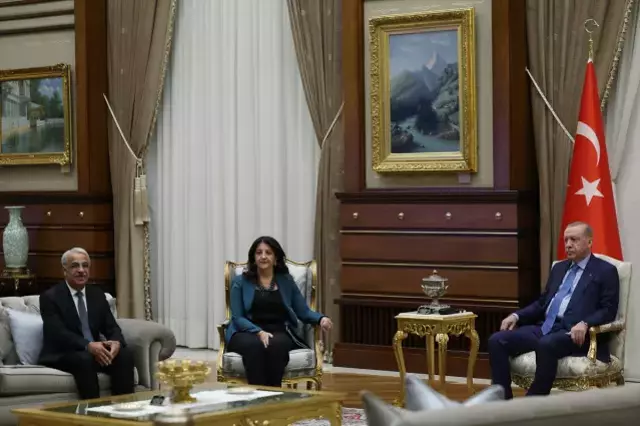 Erdoğan'la görüşen DEM Parti İmralı heyetinden ilk açıklama