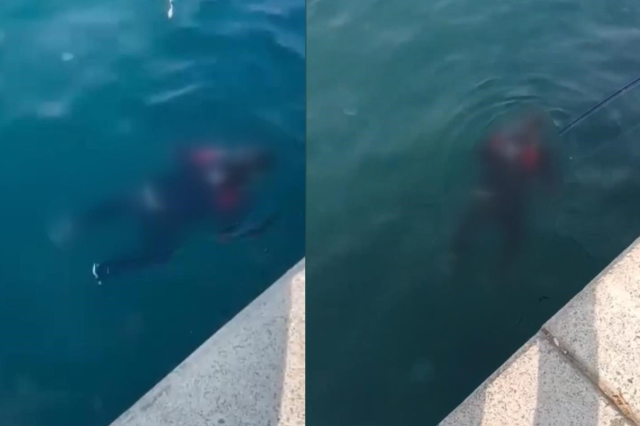 Beykoz'da dehşete düşüren olay! Balık tutanların oltasına ceset takıldı