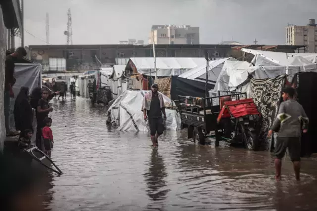 Çamur içindeki yaşam alanları