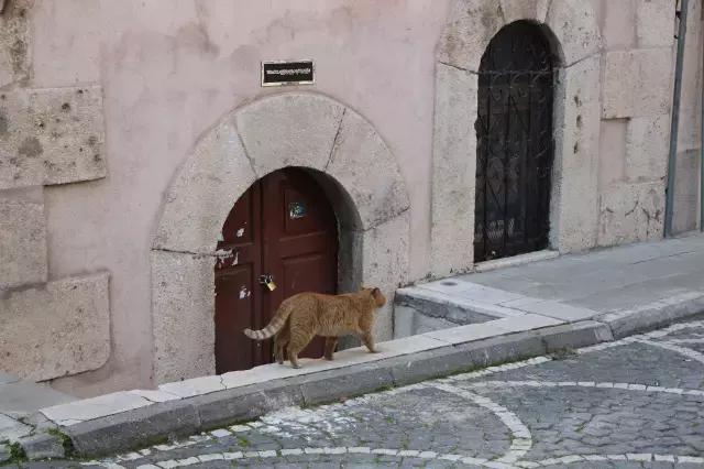 Amasya'da 9 türbeye kilit