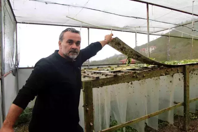 Değeri 150 bin lira! Keşfettiği hayvan gelir kapısı oldu