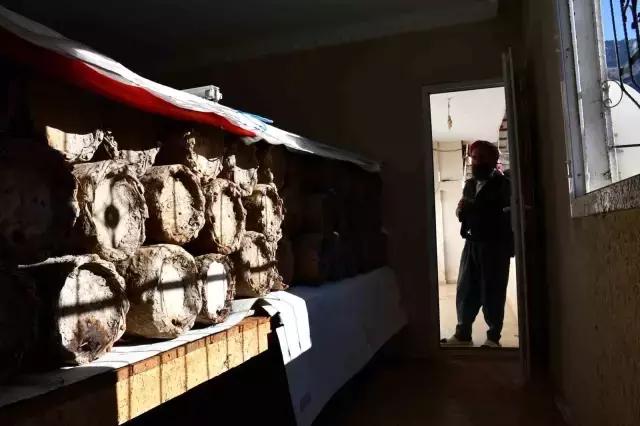 Evinin en güzel odasını tahsis etti! Kilosunu 10 bin TL'den satıyor