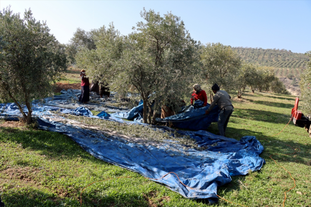 Muhtar fabrika kurup tüm mahalleyi işe aldı! Suudi Arabistan'a bile ihraç ediyor