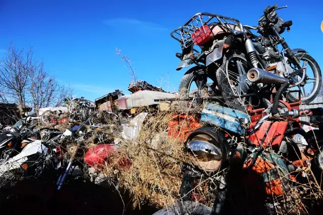 Elazığ'da yediemin otoparkında yosun tutan araçlar: 500 milyon TL'lik servet çürüyor