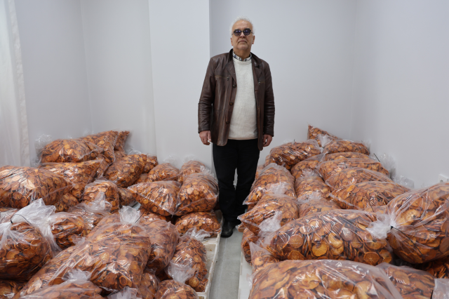 Köyde kurulan tesisle kurutulan cennet hurmaları Almanya'ya ihraç edildi