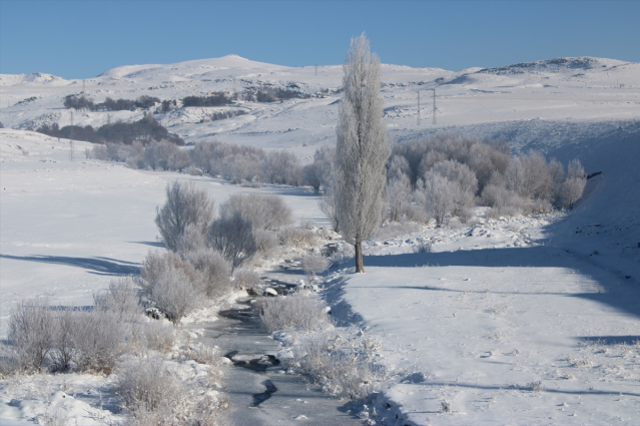 Sibirya soğukları birçok ilde hayatı durma noktasına getirdi! Saçlar, kirpikler, çamaşırlar dakikalar içinde donuyor