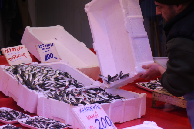 Hamsinin yokluğunu kapattı, fiyatı dibi gördü! Tezgahın en ucuzu