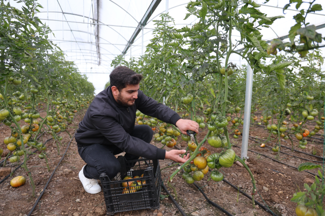Şehirde asgari ücreti bırakıp köyde kendi işlerini kurdular: Sezonluk getirisi 300-400 bin TL