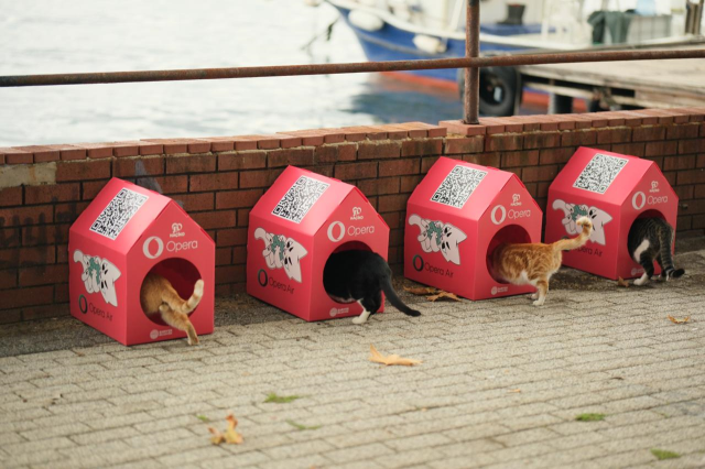 Opera'dan sokak kedileri için sürdürülebilir yaşam alanı: 'Kedi Mahallesi'