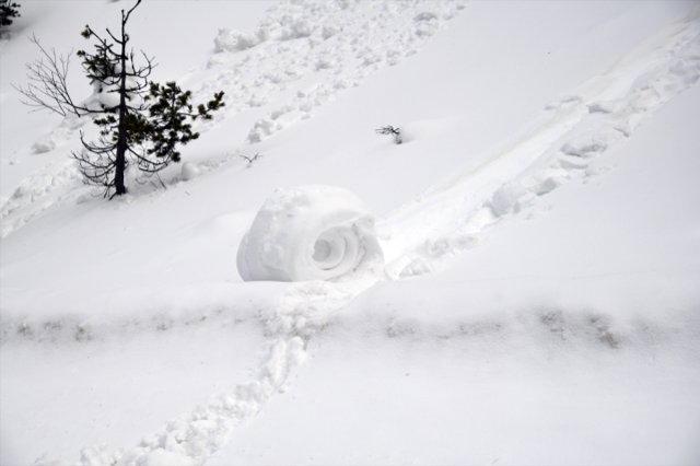Görüntü Türkiye'den! Doğada ender oluşan kar ruloları oluştu