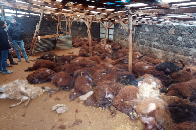 2,5 saatte bir ailenin ocağını söndürdü: İşte bir ilimizin konuştuğu o canavar