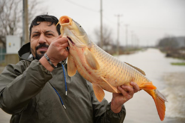Tarlanın ortasından çıktı! Tartıda tam 7 kilo geldi
