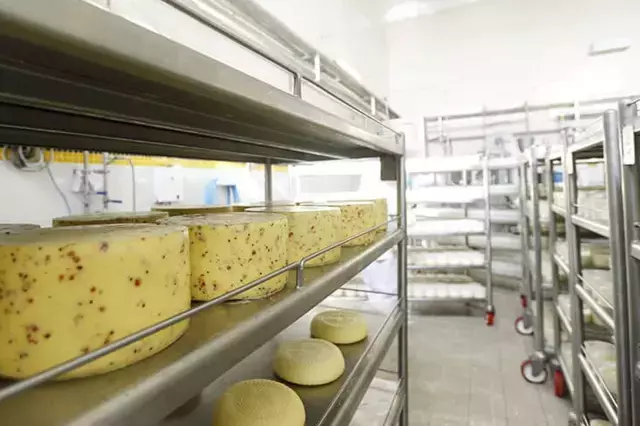 Türkiye'nin gıda devinde üretim durdu, fabrika satışa çıkarıldı