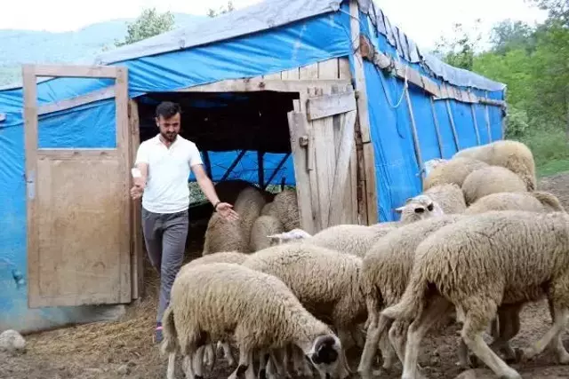 Köyüne dönen 25 yaşındaki genç, 'Genç Çiftçi' projesiyle 3 yılda 250 bin lira kazandı