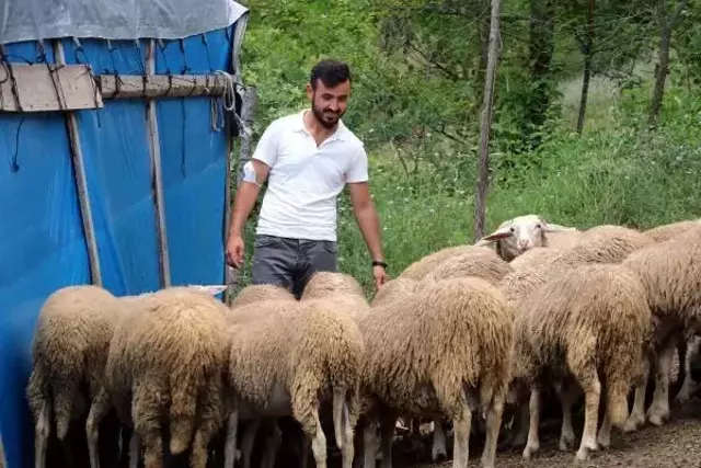 Köyüne dönen 25 yaşındaki genç, 'Genç Çiftçi' projesiyle 3 yılda 250 bin lira kazandı