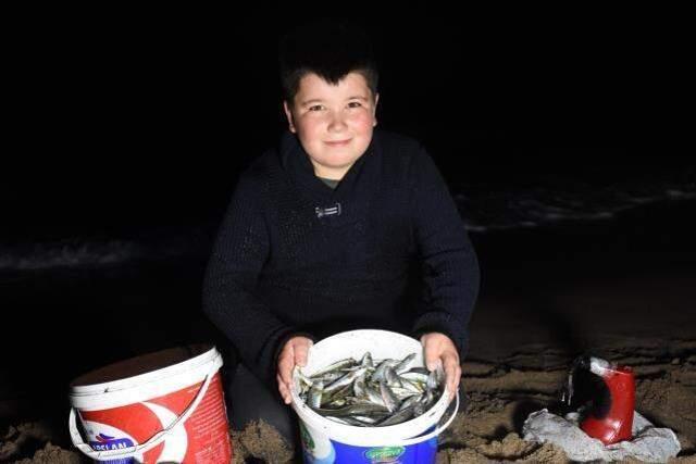 Böylesi ilk kez görülüyor! Karadeniz'de gece tonlarca balık kıyıya vurdu, 100 kilo 100 kilo topladılar