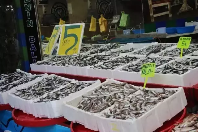 İstavritin kilo fiyatı 5 liraya düştü, vatandaş kasayla aldı