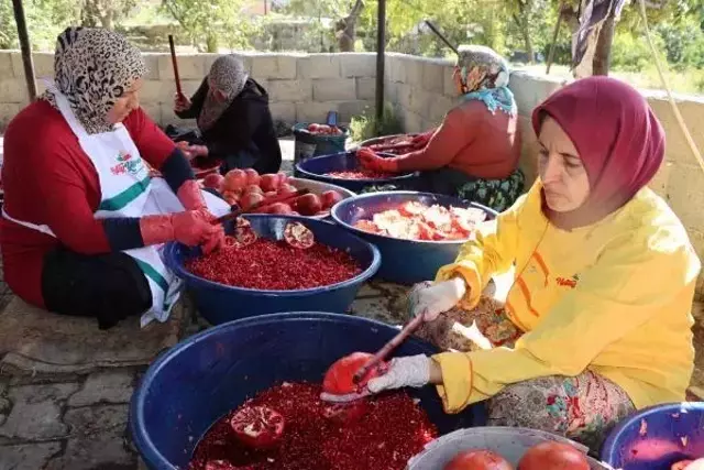 Savaştan kaçan Suriyeli avukat, Türkiye'de çiftçilik yapıyor: Burada cennetteyiz