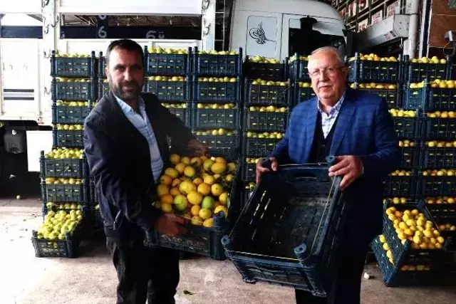 Kilosu 25 kuruşa kadar düştü! Kasanın fiyatı içindeki limonu geçti