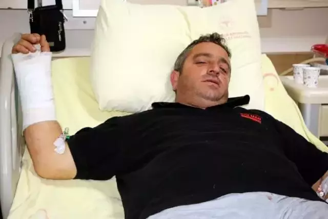 Kendisine saldıran ayı ile güreşen Tokatlı çiftçi: Siz bir de ayıyı görün, daha perişan