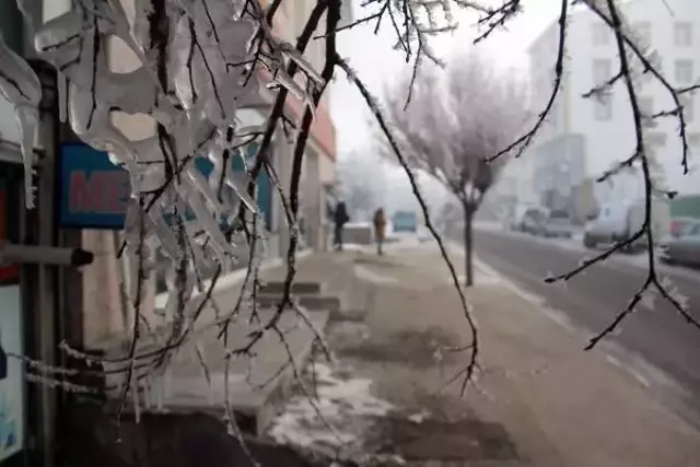 Kara kışa teslim olan Ardahan'da örümcek ağı bile buz tuttu