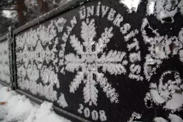 Kara kışa teslim olan Ardahan'da örümcek ağı bile buz tuttu