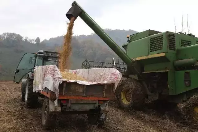 Ordu'da atıl araziler ekonomiye 75 milyon TL kazandırdı