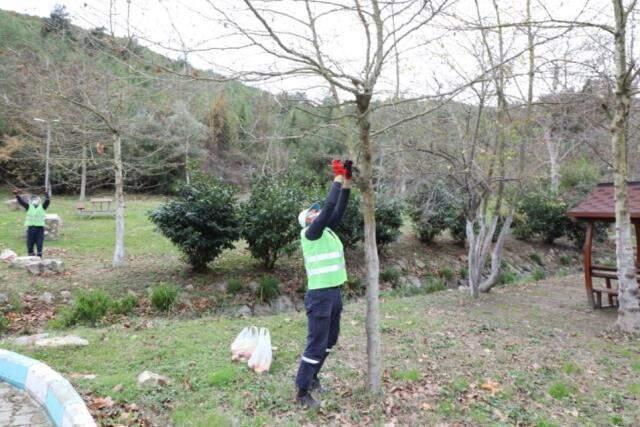 Dilovası'nda Osmanlı geleneği yaşatılıyor! Hayvanların aç kalmamaları için ağaçlara meyveler asıldı