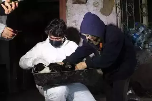 Çöp evde ölen köpekleri saksılara saklamış