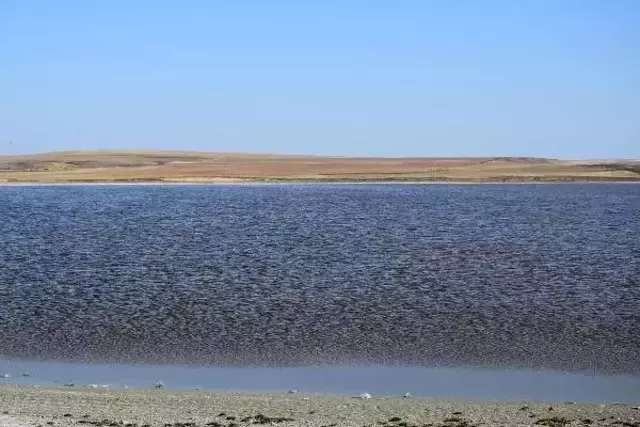 Her yıl pembeye dönen Küçük Göl bu sene kahverengi oldu, ziyaretçiler hayal kırıklığı yaşadı