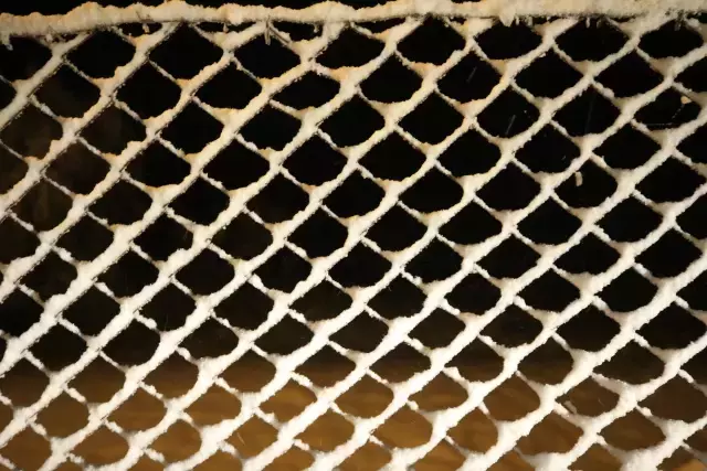 Yazı beklerken kış geri geldi! Edirne ve Kırklareli beyaza büründü