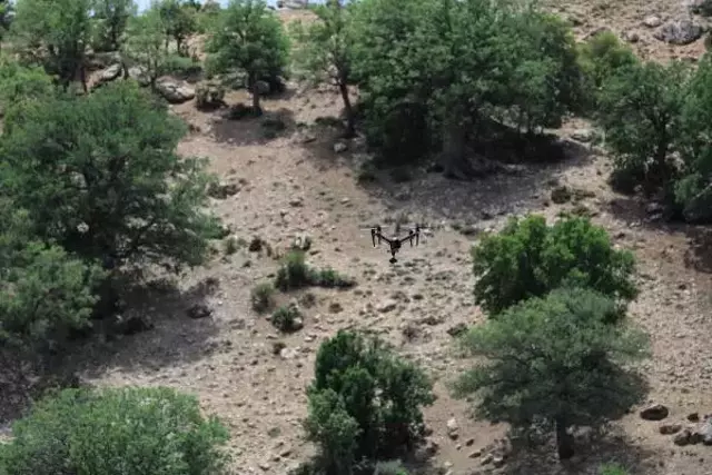 Gece ağılı basan kurt sürüsü, koyun keçi ne bulduysa parçaladı! 30 keçi sırra kadem bastı, çiftçi perişan