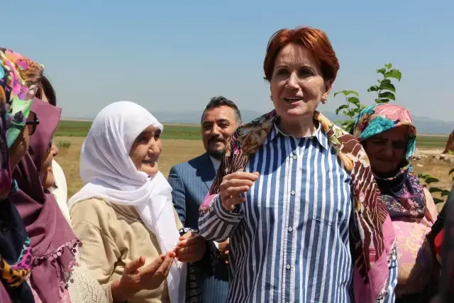 'Çiftçimiz fiyatlardan dolayı hayvanlarına oruç tutmayı öğretti' diyen Akşener'e vatandaştan tepki