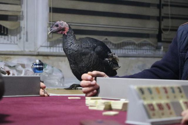 Arkadaşlar okey masasına oturdu! Masanın 5'ncisini görenler anlam vermekte zorlandı