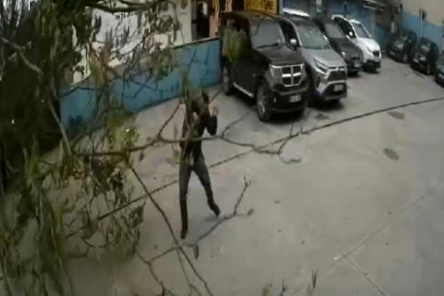 Fırtına nedeniyle devrilen ağacın altında kalmaktan son anda kurtuldu