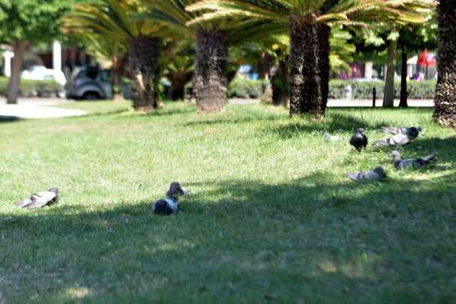 Adana'da termometreler 40 dereceyi gösterdi