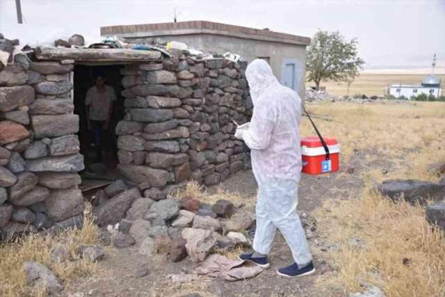 Şanlıurfa'da Kuduz Vakası: Bir Mahalle Karantinaya Alındı, Köpekler Aşılandı