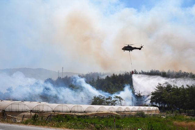 İzmir Menderes'te Orman Yangını: Havadan ve Karadan Müdahale Devam Ediyor