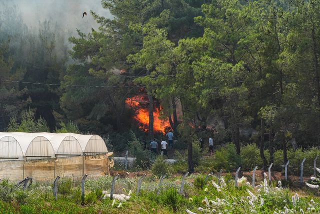 İzmir Menderes'te Orman Yangını: Havadan ve Karadan Müdahale Devam Ediyor
