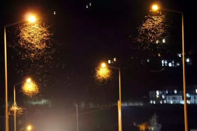 Yol beyaza büründü! Kar değil, 'ölüm dansı'