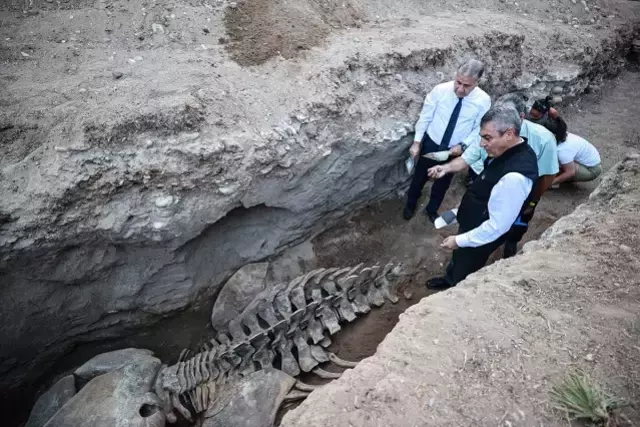 İskelet parçalarının dikkatle çıkarıldığı kazı alanı