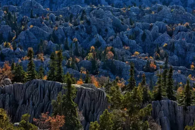 Giden geri dönmüyor! Türkiye'nin en esrarengiz bölgesi