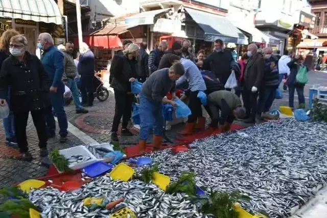 Edirneliler, hamsinin kilosu 5 liraya düşünce kasalarla aldı