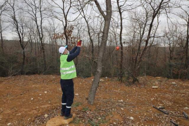 Dilovası'nda Osmanlı geleneği yaşatılıyor! Hayvanların aç kalmamaları için ağaçlara meyveler asıldı