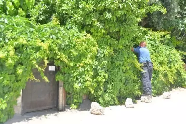 İhbar üzerine gittikleri evden bambaşka bir dram çıktı: Yalnızlık nedeniyle duygulanıp ağlamıştım, bir sorun yok