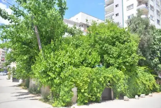İhbar üzerine gittikleri evden bambaşka bir dram çıktı: Yalnızlık nedeniyle duygulanıp ağlamıştım, bir sorun yok