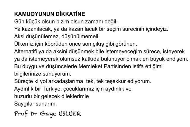 Muharrem İnce'ye büyük şok! Memleket Partisi Genel Başkan Vekili Gaye Usluer istifa etti