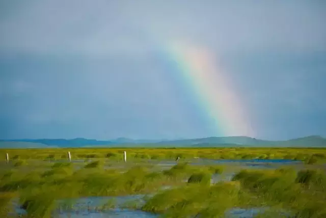 Çin Dünyanın En Fazla Uluslararası Sulak Alan Kentlerine Sahip Ülkesi Oldu