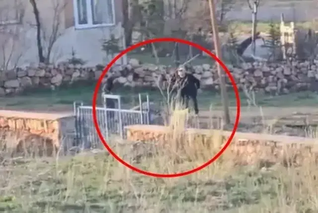 Sopalı şiddete uğrayan eşek öldü, hayvanseverler tepkili