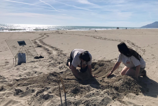 Akdeniz'de bu sahillere girenler 557 bin lira ceza ödeyecek